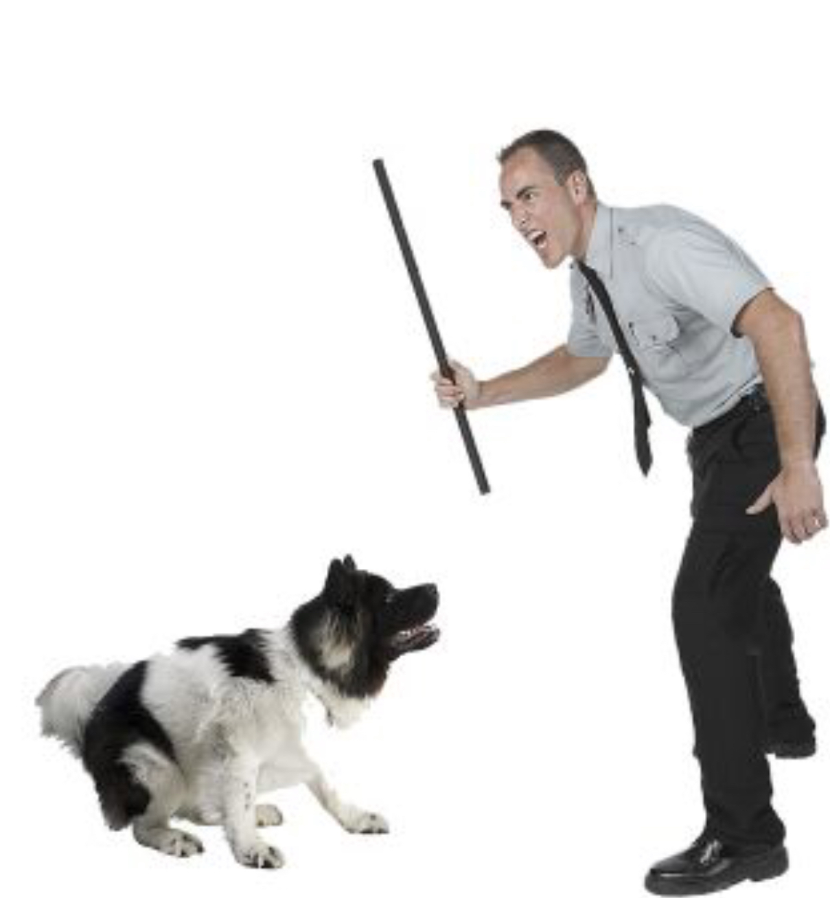 Можно бить собаку. Человек замахивается на собаку. Человек ругает собаку.